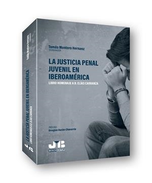 JUSTICIA PENAL JUVENIL EN IBEROAMERICA. LIBRO HOMENAJE A D. ELIAS CARRANZA | 9788412252743 | MONTERO HERNANZ,TOMAS