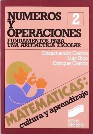 NÚMEROS Y OPERACIONES | 9788477380047 | CASTRO MARTÍNEZ, ENCARNACIÓN / RICO, LUIS