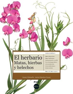 HERBARIO, EL : MATAS, HIERBAS Y HELECHOS | 9788447532278 | SÀNCHEZ CUXART, ANTONI / LLISTOSELLA VIDAL, JAUME