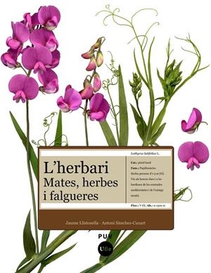 HERBARI, L' : MATES, HERBES I FALGUERES | 9788447531905 | SÀNCHEZ CUXART, ANTONI / LLISTOSELLA VIDAL, JAUME