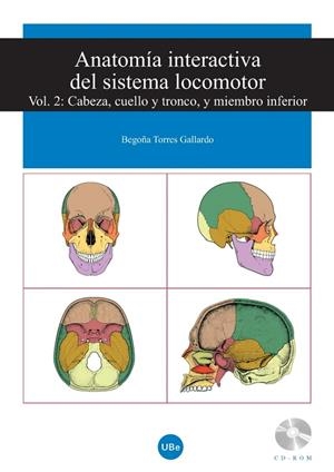 ANATOMÍA INTERACTIVA DEL SISTEMA LOCOMOTOR. VOLUMEN II: CABEZA, CUELLO Y TRONCO, Y MIEMBRO INFERIOR (CD-ROM + FOLLETO) | 9788447530540 | TORRES GALLARDO, BEGOÑA