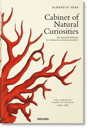 ALBERTUS SEBA CABINET OF NATURAL CURIOSITIES | 9783836569064 | MUSCH, IRMGARD / RUST, JES / WILLMANN, RAINER