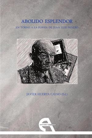 ABOLIDO ESPLENDOR. EN TORNO A LA POESIA DE JUAN LUIS PANERO | 9788416923052 | HUERTA CALVO, JAVIER