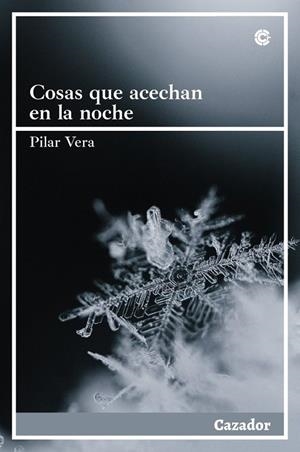 COSAS QUE ACECHAN EN LA NOCHE | 9788417646899 | VERA, PILAR