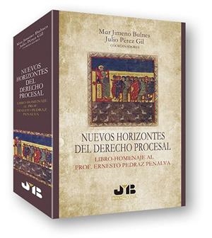 NUEVOS HORIZONTES DEL DERECHO PROCESAL | 9788494514609 | JIMENO BULNES, MAR / PEREZ GIL, JULIO