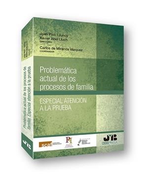 PROBLEMATICA ACTUAL DE LOS PROCESOS DE FAMILIA, ESPECIAL ATENCIÓN A LA PRUEBA | 9788494912337 | PICO I JUNOY, JOAN / LLUCH, ABEL