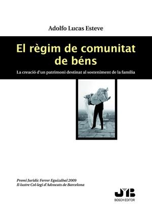 REGIM DE COMUNITAT DE BENS, EL | 9788476988954 | LUCAS ESTEVE, ADOLFO