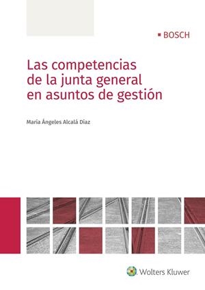COMPETENCIAS DE LA JUNTA GENERAL EN ASUNTOS DE GESTIÓN, LAS | 9788490903209 | ALCALÁ DÍAZ, MARÍA ÁNGELES