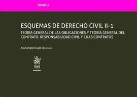 TOMO LVI ESQUEMAS DE INTRODUCCION AL DERECHO CIVIL | 9788413558806 | CAÑIZARES LASO, ANA