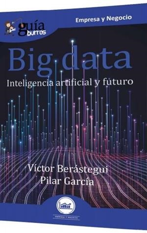 GUÍABURROS BIG DATA | 9788418429132 | BERÁSTEGUI, VÍCTOR / GARCÍA, PILAR