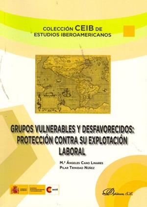 CONSTRUCCIÓN DEL MERCOSUR SOCIAL, LA. ESTRUCTURA Y ÁMBITOS DE ACTUACIÓN | 9788499822143 | DÍAZ SACRISTÁN, NURIA / FERNÁNDEZ TESORO, CRISTINA