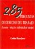 285 PREGUNTAS DE DERECHO DEL TRABAJO. FUENTES Y RELACIÓN INDIVIDUAL DE TRABAJO | 9788499829951 | BLASCO JOVER, CAROLINA