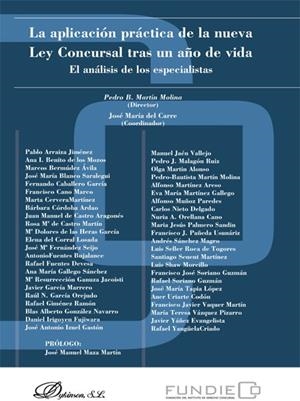 APLICACIÓN PRÁCTICA DE LA NUEVA LEY CONCURSAL TRAS UN AÑO DE VIDA, LA. EL ANÁLISIS DE LOS ESPECIALISTAS | 9788490314395 | MARTÍN MOLINA, PEDRO B. / CARRE, JOSÉ MARÍA DEL
