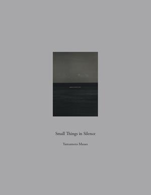 SMALL THINGS IN SILENCE | 9788417975012 | YAMAMOTO, MASAO