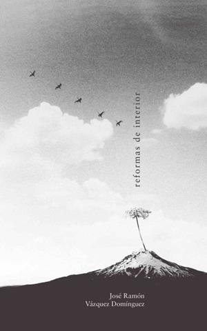 REFORMAS DE INTERIOR | 9788418542305 | VÁZQUEZ DOMÍNGUEZ, JOSÉ RAMÓN