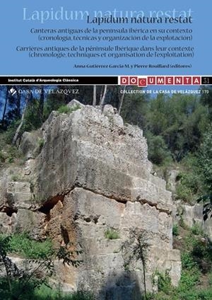 LAPIDUM NATURA RESTAT | 9788490961704 | VARIOS AUTORES