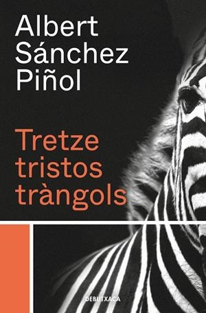 TRETZE TRISTOS TRÀNGOLS | 9788418132384 | SÁNCHEZ PIÑOL, ALBERT