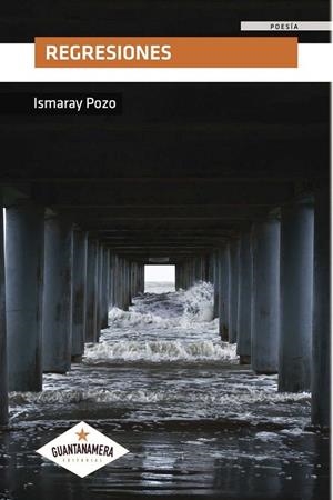 REGRESIONES | 9788417104535 | POZO , ISMARAY