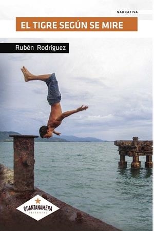 TIGRE SEGÚN SE MIRE, EL | 9788417104764 | RODRÍGUEZ GONZÁLEZ, RUBÉN JORGE