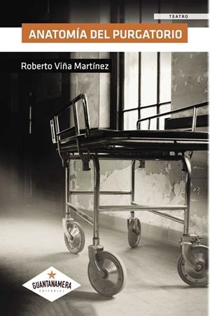 ANATOMÍA DEL PURGATORIO | 9788417104931 | VIÑA MARTÍNEZ, ROBERTO