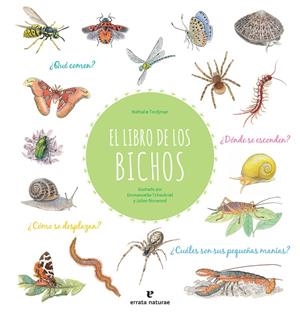 LIBRO DE LOS BICHOS, EL | 9788417800413 | NORWOOD / TCHOUKRIEL