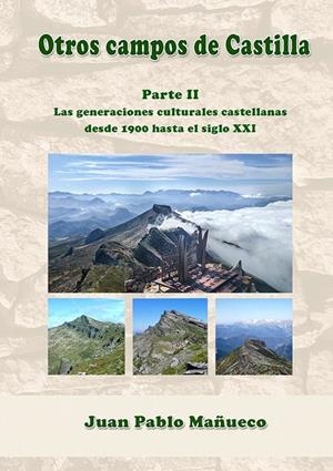 OTROS CAMPOS DE CASTILLA. PARTE II | 9788418131271 | MAÑUECO MARTINEZ, JUAN PABLO