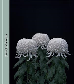 TOMOKO YONEDA | 9788498447637 | FUJIMURA / KUNDERA