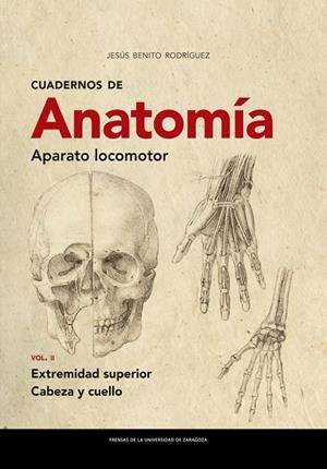 CUADERNOS DE ANATOMÍA. APARATO LOCOMOTOR | 9788413401867 | BENITO RODRÍGUEZ, JESÚS