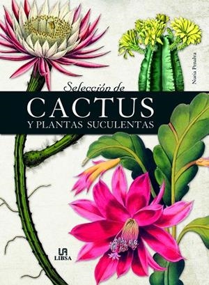 SELECCIÓN DE CACTUS Y PLANTAS SUCULENTAS | 9788466241021 | PENALVA, NURIA