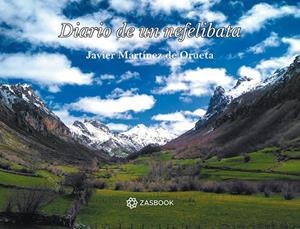 DIARIO DE UN NEFELIBATA | 9788412124682 | MARTÍNEZ DE ORUETA, JAVIER