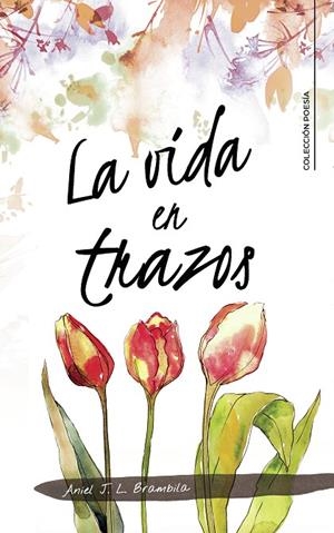 VIDA EN TRAZOS, LA | 9788418203374 | BRAMBILA, ANIEL J. L.