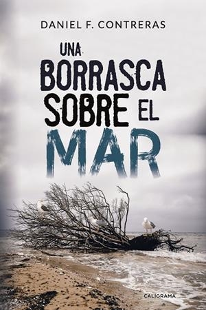 BORRASCA SOBRE EL MAR, UNA | 9788417234195 | F. CONTRERAS, DANIEL