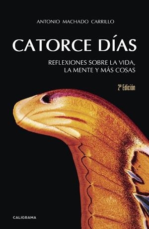 CATORCE DÍAS | 9788417234775 | MACHADO CARRILLO, ANTONIO