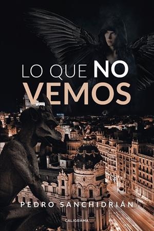 LO QUE NO VEMOS | 9788418073052 | SANCHIDRIÁN, PEDRO