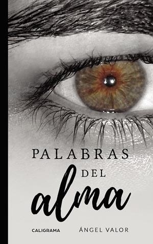 PALABRAS DEL ALMA | 9788417887193 | VALOR, ÁNGEL