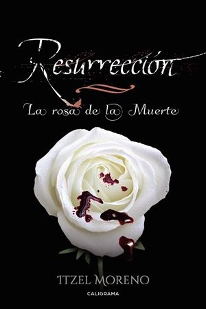 RESURRECCIÓN | 9788417234560 | MORENO, ITZEL