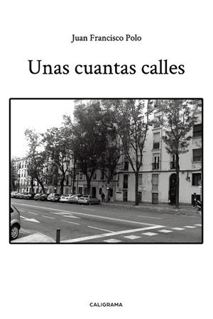 UNAS CUANTAS CALLES | 9788417984199 | POLO, JUAN FRANCISCO