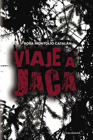VIAJE A JACA | 9788417382254 | MONTOLÍO CATALÁN, ROSA