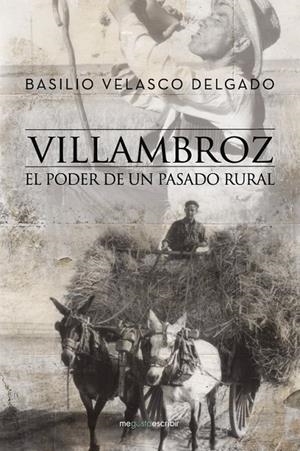 VILLAMBROZ | 9788491127697 | VELASCO DELGADO, BASILIO