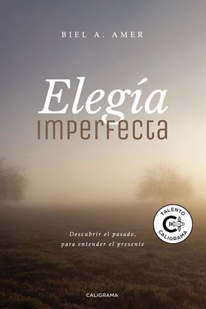 ELEGÍA IMPERFECTA | 9788417915469 | A. AMER, BIEL