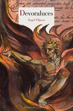 DEVORALUCES | 9788418141355 | OLGOSO, ANGEL