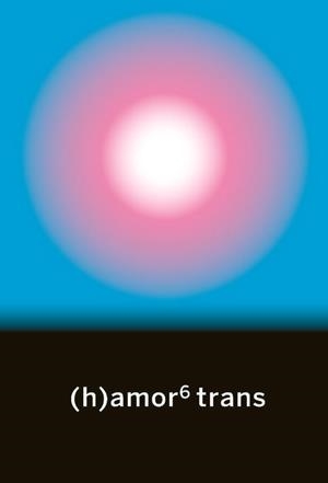 (H)AMOR 6 TRANS | 9788412276022