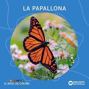 PAPALLONA, LA | 9788448952846 | BALDÓ, ESTEL / GIL, ROSA / SOLIVA, MARIA