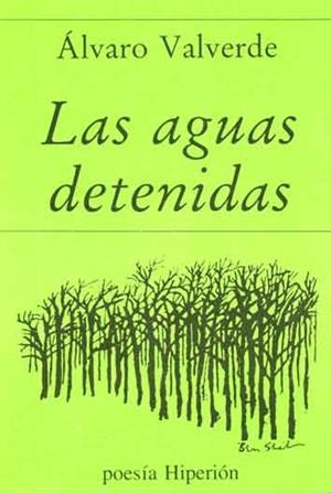 AGUAS DETENIDAS, LAS | 9788475172538 | VALVERDE, ÁLVARO