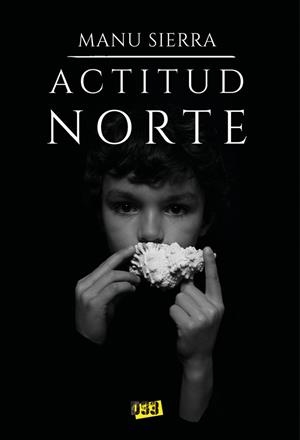 ACTITUD NORTE | 9788417895761 | SIERRA, MANU