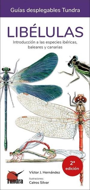 NOMBRES DE LAS LIBELULAS, LOS | 9788418458132 | ALVAREZ-CROS, CARLOS