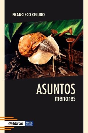 ASUNTOS MENORES | 9788418208799 | CEJUDO GRANADO, FRANCISCO