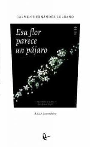 ESA FLOR PARECE UN PÁJARO | 9788418065149 | HERNÁNDEZ ZURBANO, CARMEN