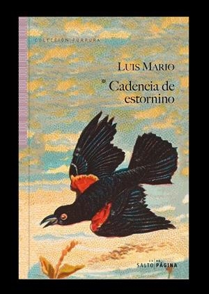 CADENCIA DE ESTORNINO | 9788417893620 | MARIO, LUIS