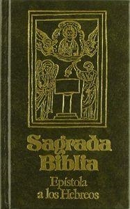 EPÍSTOLA A LOS HEBREOS | 9788431310028 | BIBLIA. N.T. HEBREOS